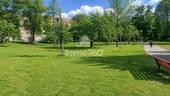 Stadtpark Steglitz - 
