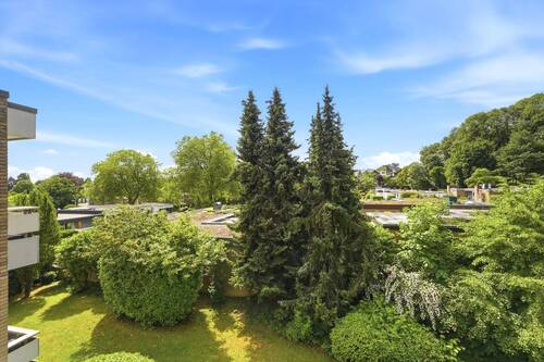 Ausblick - 