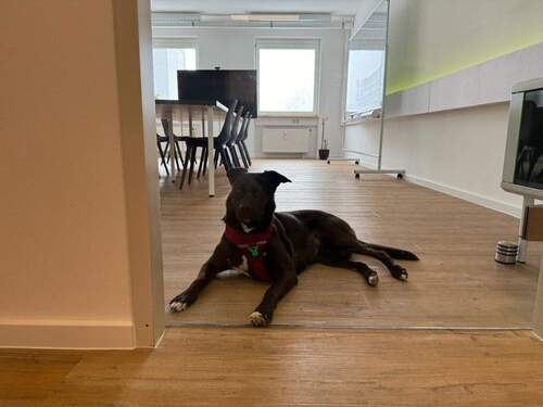 Meetingraum - Büro mit 4,00 m&sup2; in Garching bei München zur Miete