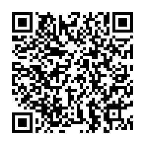 QR-Code - 