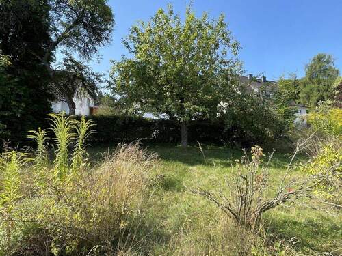 Bild 4 - Einfamilienhaus mit 165,00 m&sup2; in Dautphetal / Holzhausen am Hünstein zum Kaufen