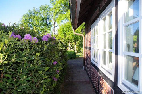 Ostseite des Hauses - 