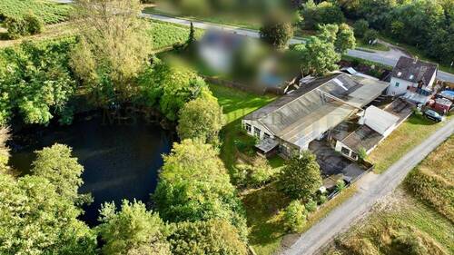 Luftbild 2 - *** Einzigartiges Anwesen: Wohnen, Arbeiten, Natur genießen - Ihr eigenes Paradies am See **