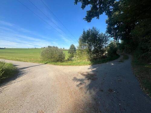 Zufahrt - Grundstück zum Kaufen in Tiefenbach