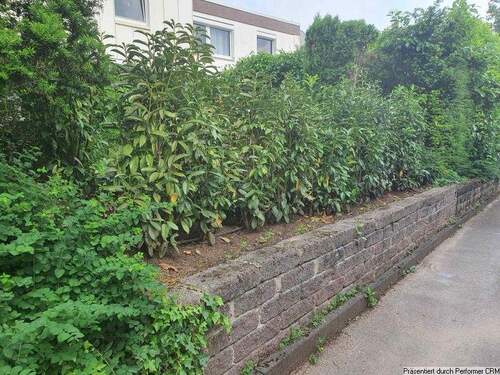Natursteinmauer und Hecke - 
