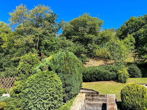 Sonnengrundstück mit Waldblick - 