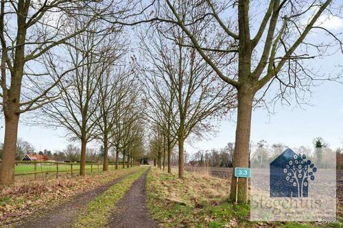 Private Zugangsweg - 6 Zimmer Einfamilienhaus zum Kaufen in Nordhorn