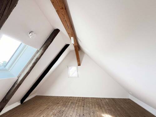Bild 11 - 