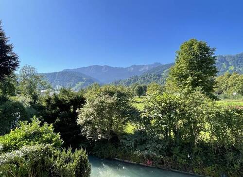Sommerblick - 
