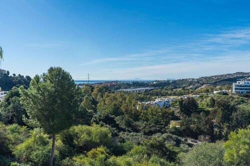 Blick Richtung Meer - 