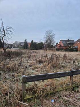 20251205_090525.jpg - 2 wunderschöne Baugrundstück in Abbensen! Bauträgerfrei