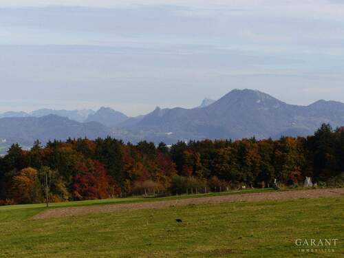 Umgebungsaussicht - 