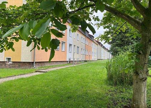Hinteransicht Objekt - Alles wird neu! 2-Raum-Wohnung im Erdgeschoss