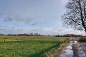 Blick von der Zufahrtsstraße Richtung Osten - 