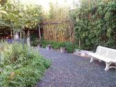 Garten2 - 
