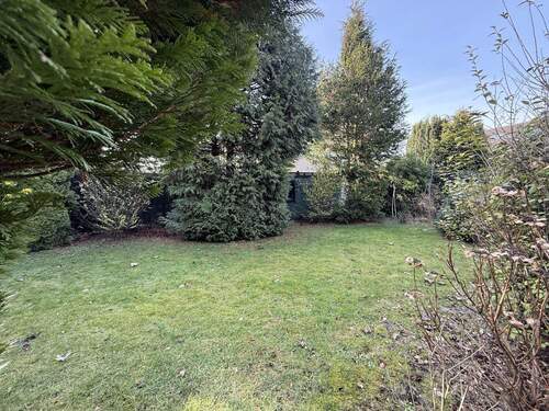 Blick in den Garten - 