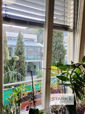 bodentiefe Fenster.jpg - 