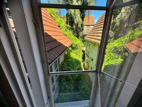 Blick aus dem Fenster (1. OG) - 
