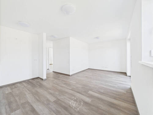 Wohnbereich mit integrierter Küche - 