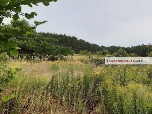 Bild 5 - Grundstück in Königs Wusterhausen