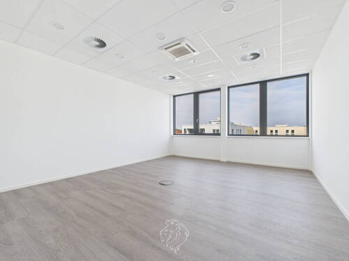 (Chef) Büro Perspektivenwechsel - 