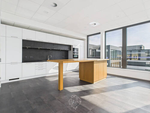 hochwertige Küche Perspektivenwechsel II - 