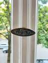 Fensterolive - 