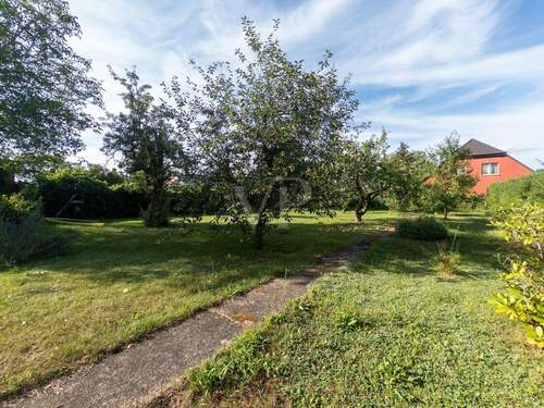 Garten mit viel Gestaltungsfreiheit - Grundstück in Berlin - Pankow zum Kaufen