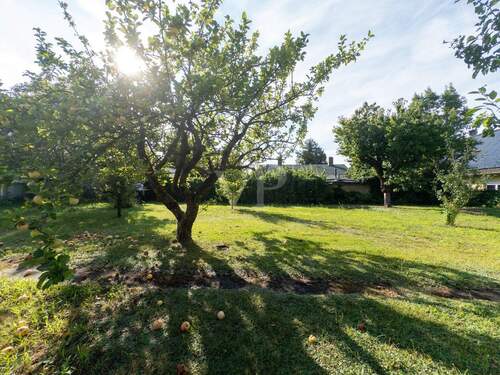 unverbauter Südblick für lange Sonnenstunden - 