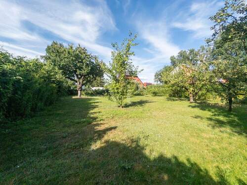 Garten mit viel Gestaltungsfreiheit - 