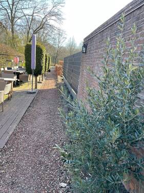 IMG_0717 - Kopie.jpg - 