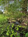 Rosenhainer wasser (2) - 
