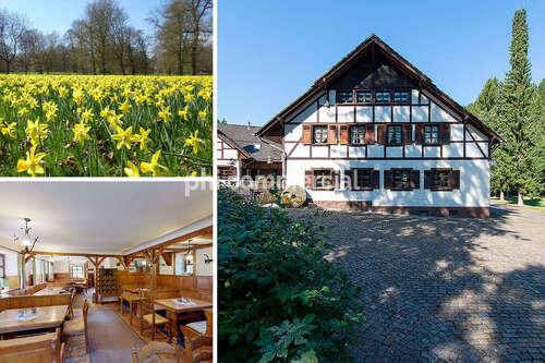 Immobilie-Monschau-Gewerbe-mieten-M-IZ472-26 - PHI AACHEN - Idyllischer Landgasthof am Perlenbach in Monschau - Höfen!