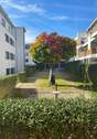 Bild 2 - 2 Zimmer Etagenwohnung zum Kaufen in Müllheim
