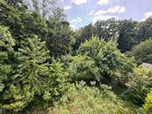 IMG_2866 - 