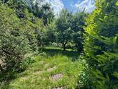 IMG_2844 - 