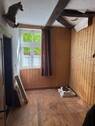 Jagdzimmer - 