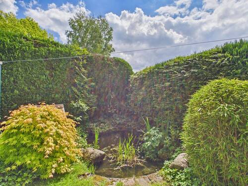 Gartenteich - 
