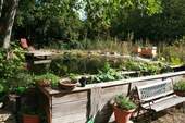 Gartenteich - 