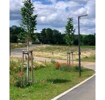 Ihr Traum vom Eigenheim - Natur und Stadt in perfekter Harmonie - Pulsnitz