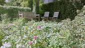 Gartenteich - 