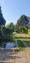 34 Wiese.jpg - 