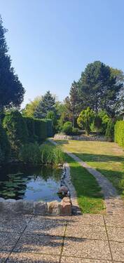 34 Wiese.jpg - 