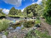 Schwimmteich - 