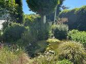 Gartenteich - 