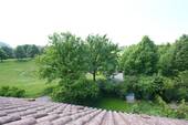 DSC00768 - 