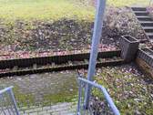 IMG_6404.jpeg - 