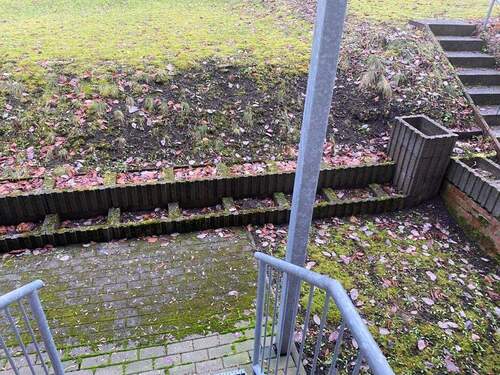 IMG_6404.jpeg - 