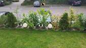 Garten - 