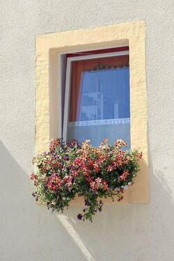 Detail - 